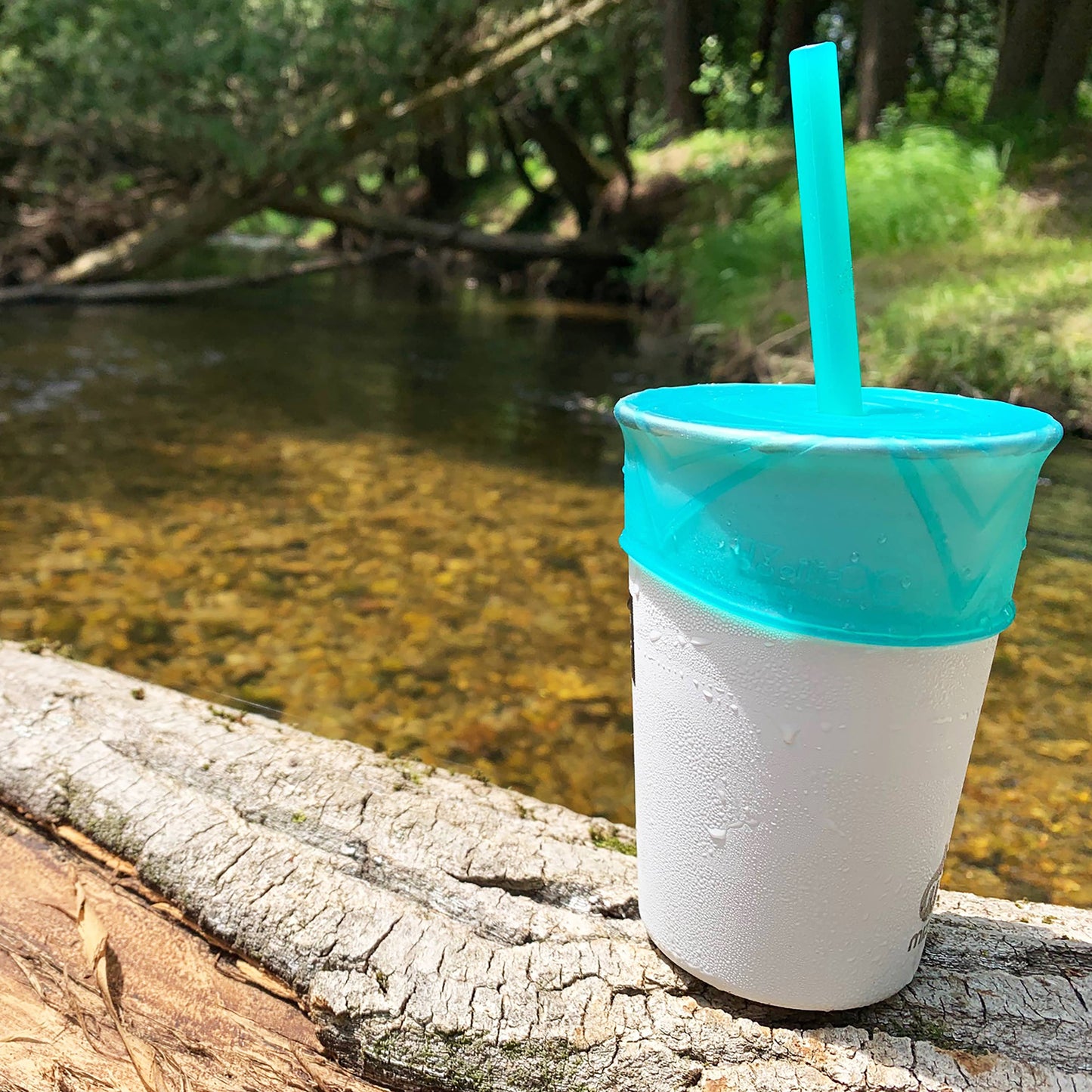 Silicone Lid and Straw with Travel Case