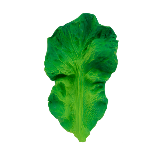 Kendall the Kale Teether